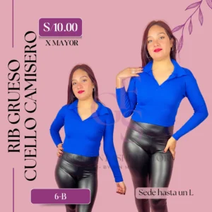 RIB GRUESO CUELLO CAMISERO 6B