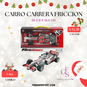 CARRO DE CARRERA F494